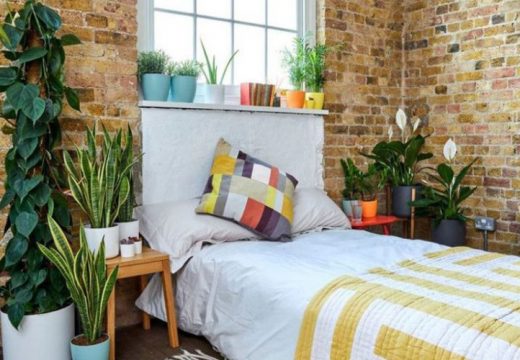 Koje biljke biste trebali držati u spavaćoj sobi ukoliko želite imati kvalitetniji san?