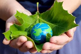 Danas se obilježava Svjetski dan zaštite životne sredine