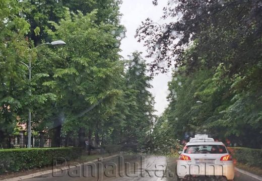 Banjaluka: U Aleji Svetog Save drvo palo na automobil