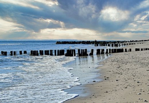 Zatvorena plaža u Njujorku zbog napada ajkule