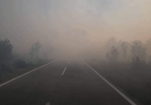Veliki šumski požar u bilećkom selu Korita