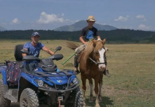 Otac i sin čuvaju krave za 2000 KM :Radnika koji će im pomoći ne mogu naći ni za lijeka