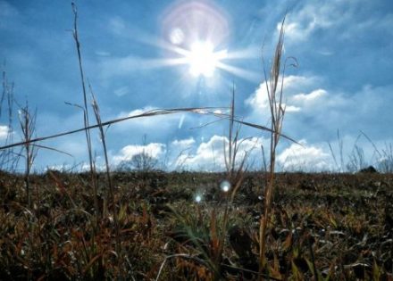 Narednih dana sunčano uz porast temperature