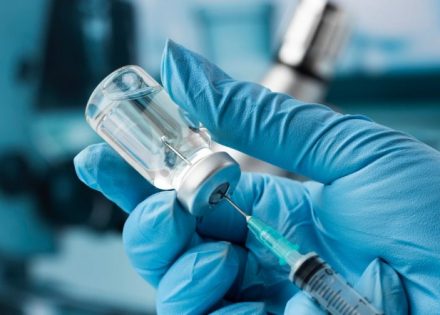 Vakcine protiv bjesnila još nisu isporučene: U toku redovne provjere