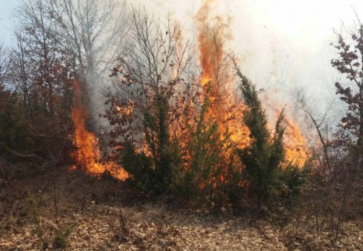 Bukti požar u parku prirode :Vatra se širi prema Masnoj Luci i vikend-naselju