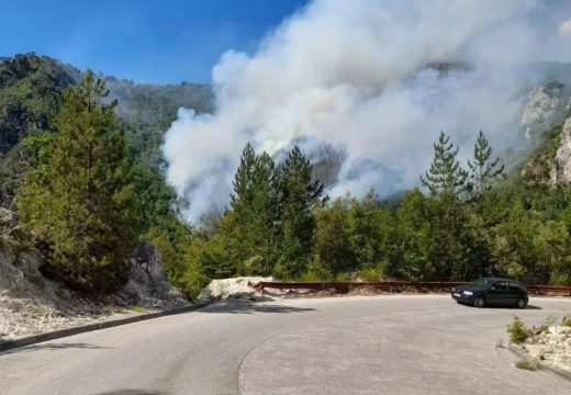 BiH traži pomoć hrvatskih kanadera u gašenju požara