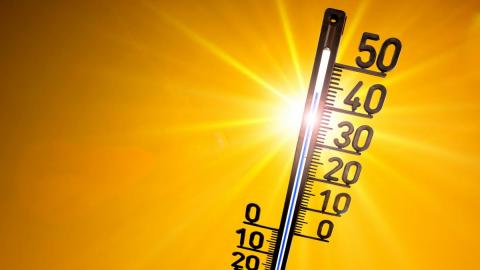 Danas toplo, temperatura i do 38 stepeni