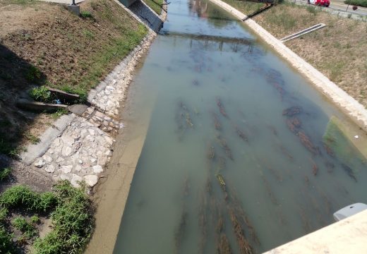 Kanal Dašnica s minimalnim protokom vode