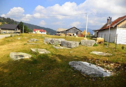 Nacionalne spomenike stare u BiH „održavaju“ krave, ovce i kokoši