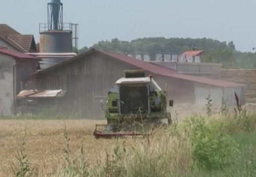 Ko pomaže, a ko manipuliše poljoprivrednicima? (VIDEO)