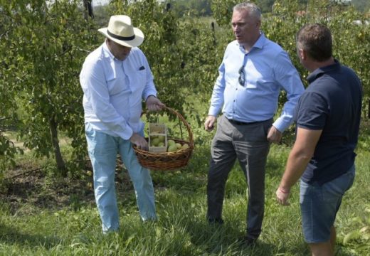 Podrška poljoprivrednicima koji sami investiraju na svojim farmama