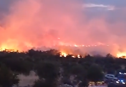 Vatrogasci se bore sa požarom, vatra se približila kućama (Video)