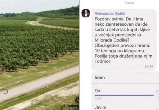 Cenić objavila Viber poruku u kojoj se ljudi pozivaju na kupljenje šljiva kod Dodika