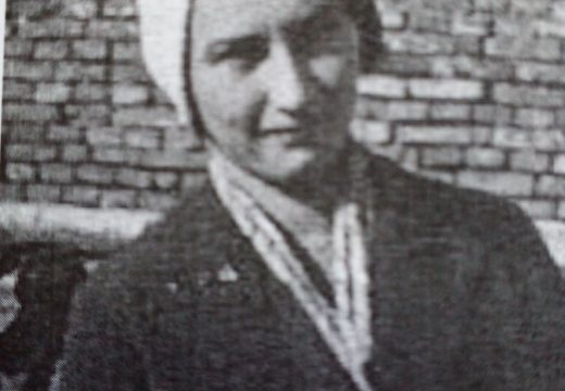 Desanka Ludvik – prva žena s objavljenim stručnim radom