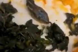 Pronađena zmijska glava u obroku na letu za Njemačku (VIDEO)