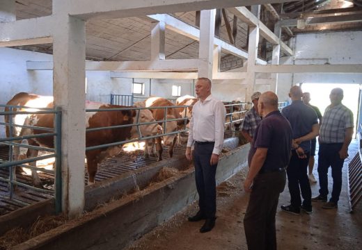 Ministar Pašalić u posjeti  farmi „Puzić“ kod Odžaka