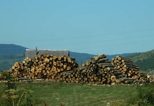 Kako se zaštititi od prevara prilikom kupovine drva
