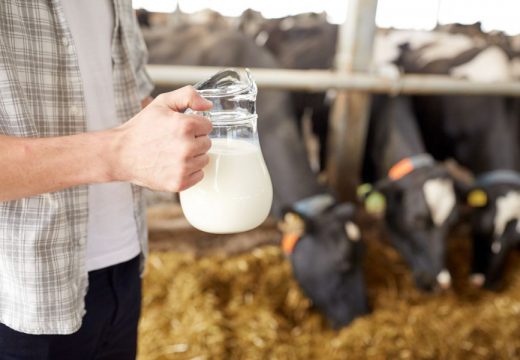 Zabrana izvoza mlijeka za sada nije opcija