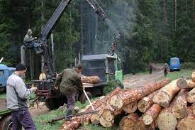 Izvođačima radova u šumarstvu isplaćeno više od pola miliona subvencija