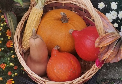 Pijačni barometar:Ovako danas izgledaju cijene na bijeljinskoj pijaci