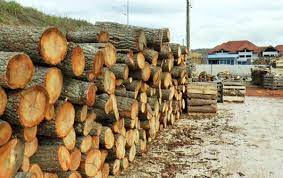 Zbog visokih cijena energenata drvni sortimenti se bez obzira na kvalitet iz BiH izvoze kao ogrjev