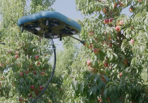 Dronovi zamjenjuju ljude u branju voća (Video)
