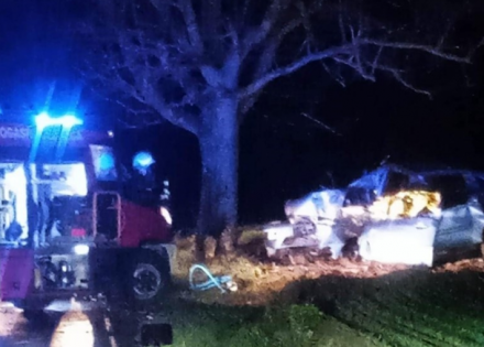 Teška nesreća u Bijeljini: Autom udario u drvo i poginuo
