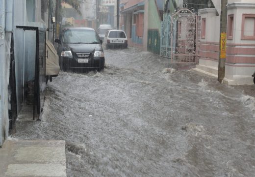 Strašno nevrijeme pogodilo Crnu Goru: U Podgorici padala stabla, poplave u Herceg Novom