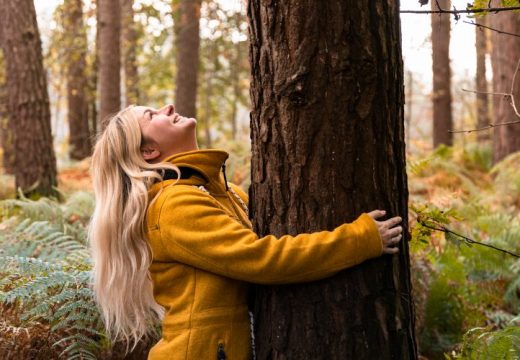 Boravak u šumi: Odličan za srce i pluća, potrebno vam je samo 15 minuta dnevno