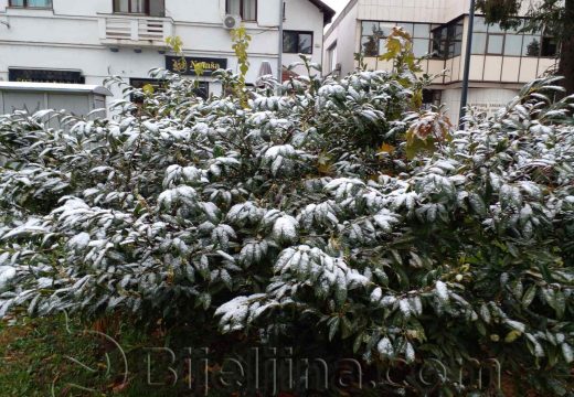 Prvi snijeg u Semberiji (Foto)