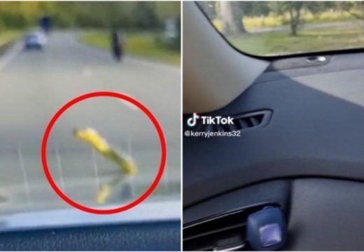Dok su se vozili, na automobilu im se pojavila zmija (VIDEO)