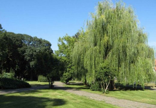 Gradski park u Bijeljini dobija edukativne table