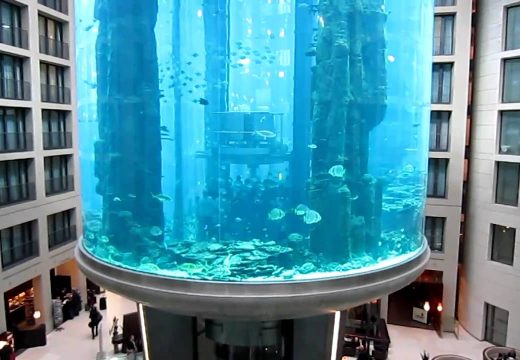 Eksplodirao ogromni akvarijum: 1.150 riba i milion litara vode slilo se na ulicu, dvije osobe povrijeđene (VIDEO)