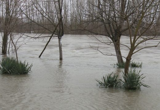 Bijeljina: Nivo Drine za 24h porastao za 183 cm