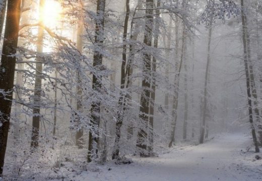 Danas veoma hladno sa padavinama