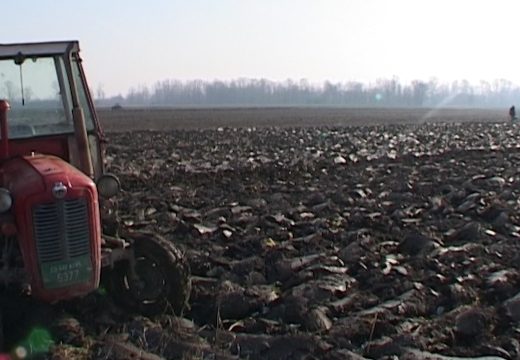 Izmirene sve obaveze prema proizvođačima za prošlu godinu