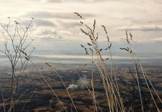 Tokom dana sunčano i toplo za ovo doba godine