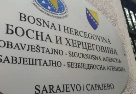 Dodik: Risto Zarić biće zamjenik OBA