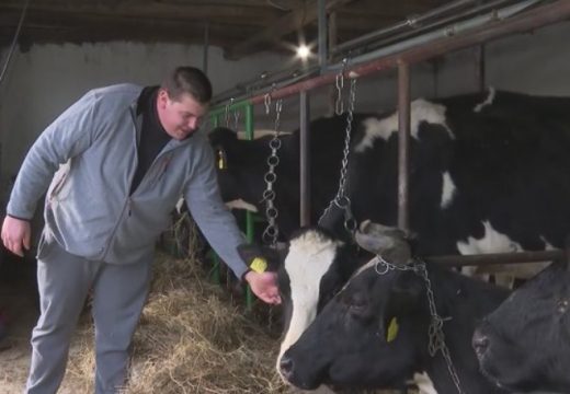 Stefan (24) najmlađi farmer u Derventi: „Sreća je puna štala krava“