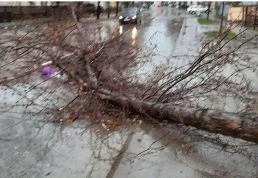 Strašno nevrijeme pogodilo Bijeljinu:Vjetar otkinuo krov sa zgrade i obarao stabla (FOTO)