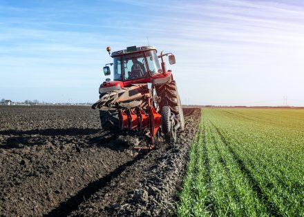Kreće raspodjela agrarnog budžeta: 180 miliona KM za poljoprivrednike