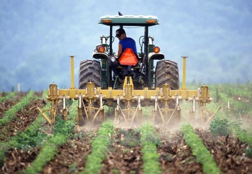 Proljećna sjetva u Srpskoj: Prinos kukuruza do 7 tona po hektaru