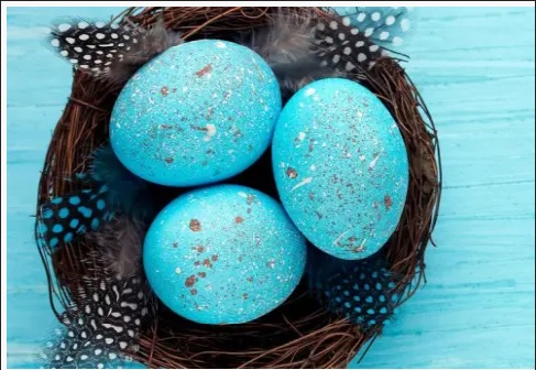 Najljepša tirkizna jaja koja se boje kupusom (VIDEO)