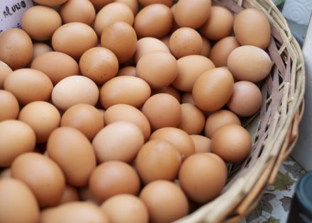 Iz prodaje se povlače jaja zbog salmonele
