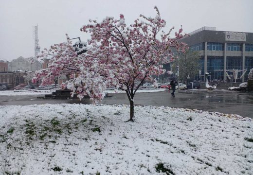 Snijeg nakratko zaustavio poljoprivredne radove (FOTO)