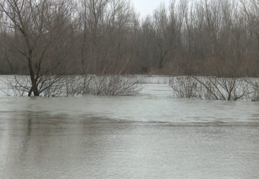 Janja: Na obali Drine pronađeno tijelo muškarca