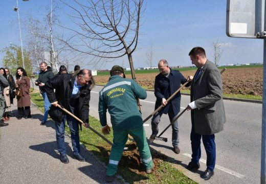 Počela akcija Počela akcija „April – mjesec čistoće“ – 150 novih sadnica u Ulici mučenika Romanovih