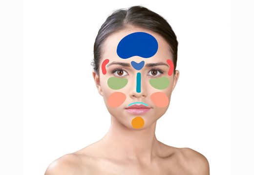 Glavne zone na licu i organi s kojima su povezane