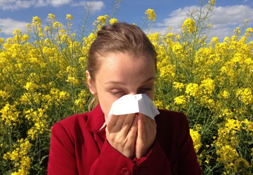 Stiže nam alergijska apokalipsa: Struka nije optimistična