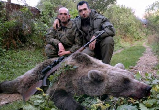 Lov na medvjede u FBiH zabranjen